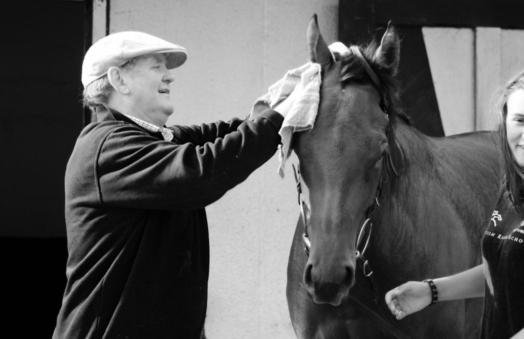 john jenkins racehorse trainer