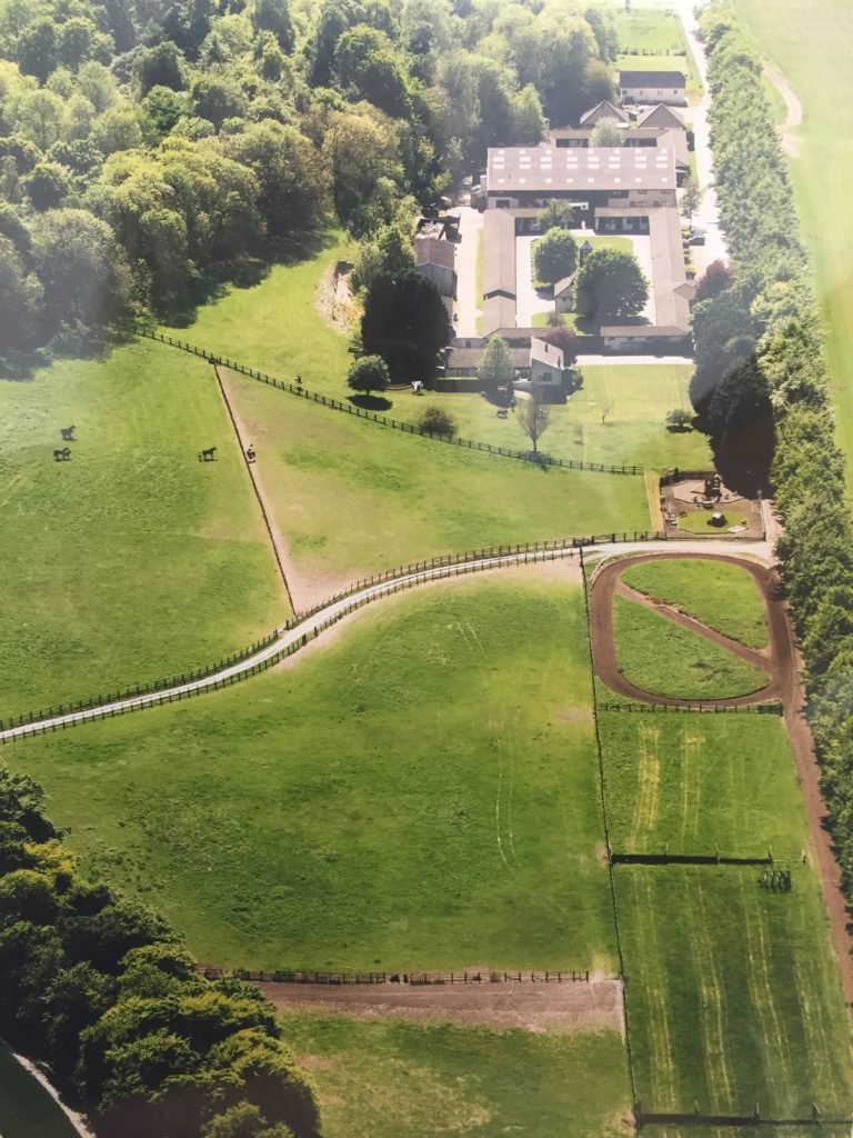 king ride gallops therfield aerial view racing stables john jenkins