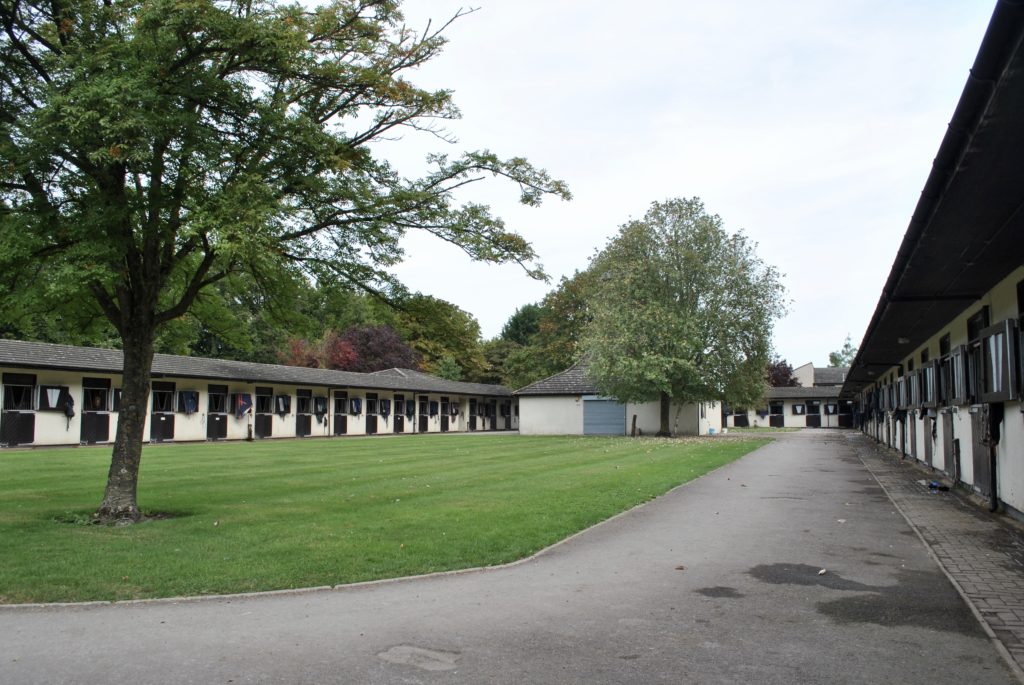 racehorse training stables