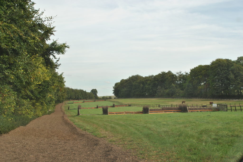 racehorse training stables facilities john jenkins kings ride