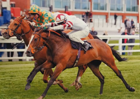 racehorse winning john jenkins