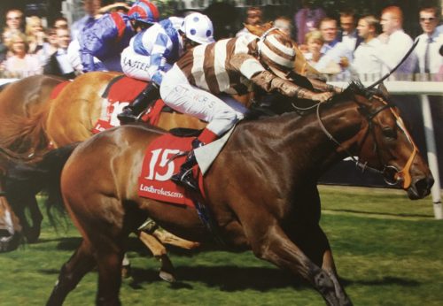 little white lie racehorse newmarket winner bunbury cup john jenkins