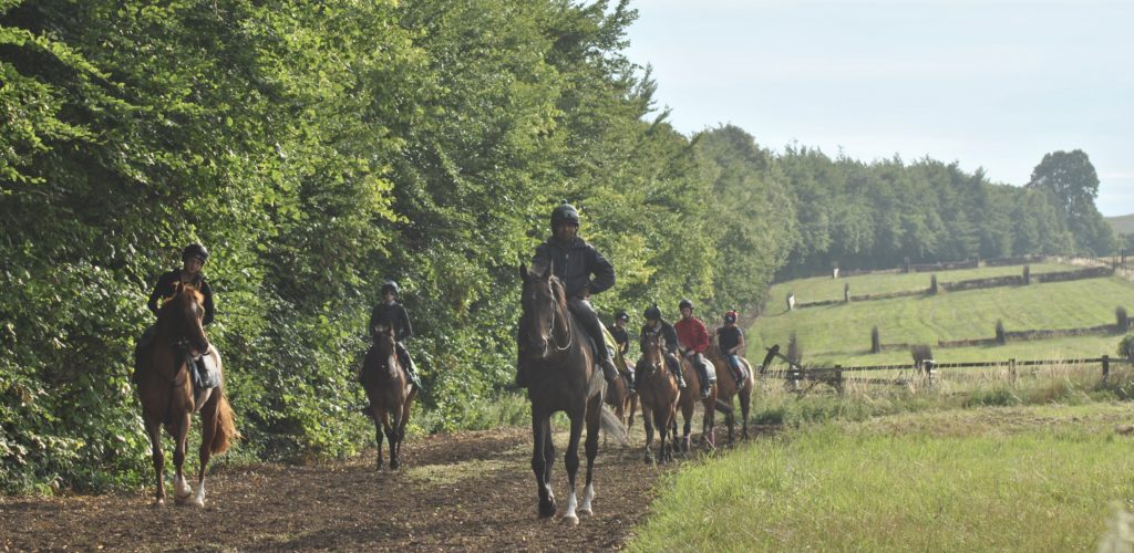 racehorses royston heath john jenkins racing 