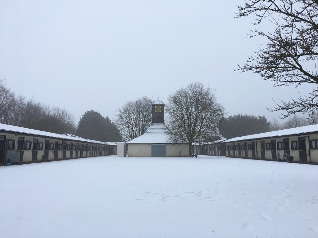 snow at stables racing yard royston 